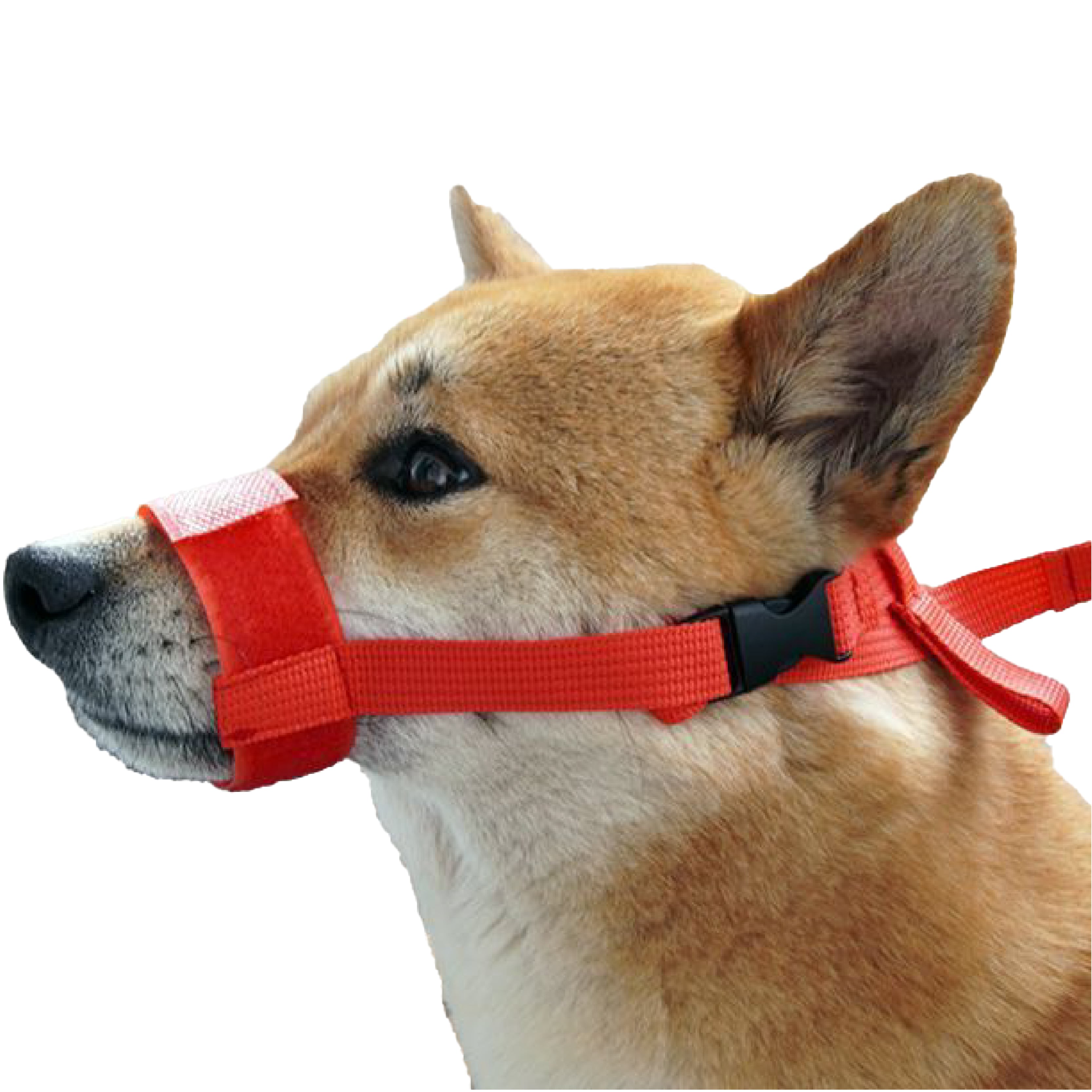 Pet Muzzle