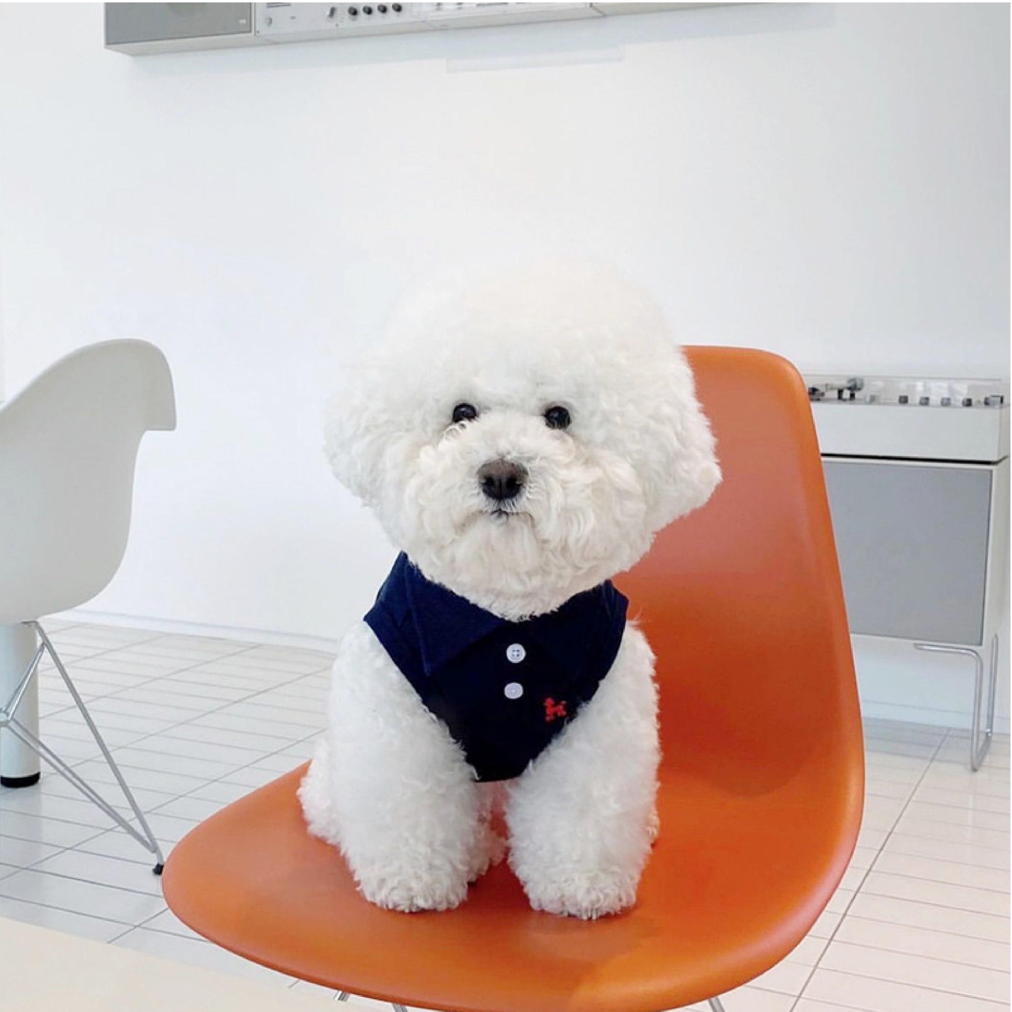 Canine Polo Shirt