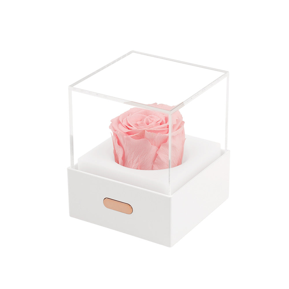 Eternal Rose Night Light