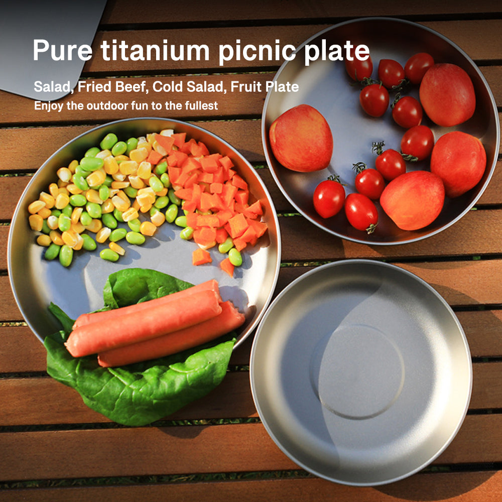 Pure Titanium Plate