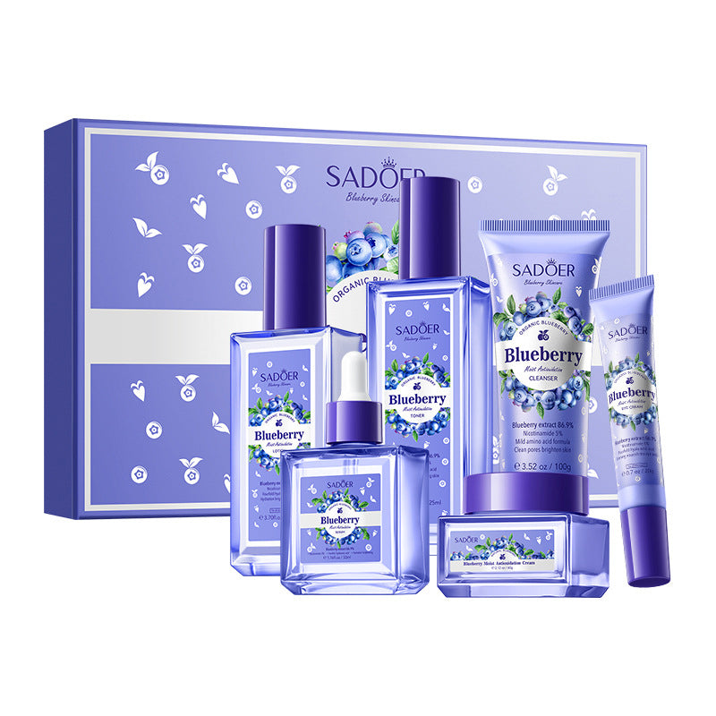 Blueberry Antioxidant Skincare Set